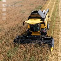 Hafer Ernte 30
