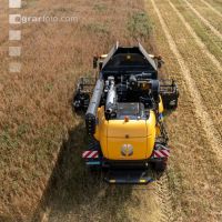 Hafer Ernte 29