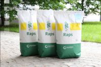Raps Saatgut 