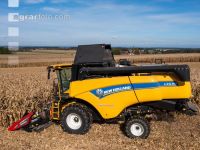 Maize harvest 278