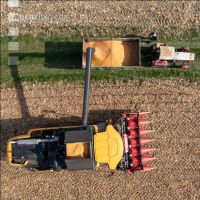 Maize harvest 272