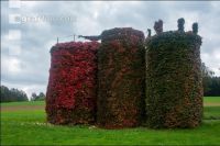 Silo with ivy