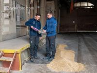 Grain delivery 6