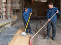Grain delivery 4