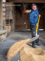 Grain delivery 1