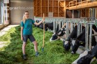 Holstein Grünfutter 8