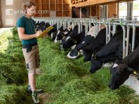 Managing Holstein 11