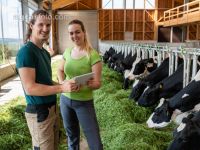 Managing Holstein 1