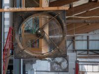 Colling in the cowshed 4