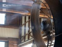 Colling in the cowshed 2