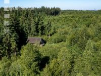 Jagdhütte