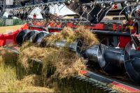 Flaxseed harvesting 13
