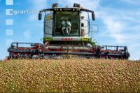 Flaxseed harvesting 3