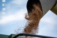 Flaxseed harvesting 20