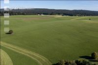 Permanent meadow October 3
