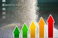 Fertilizer prices rise 6