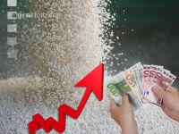 Fertilizer prices rise 4