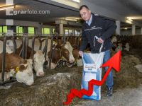 Mineral feed costs rises 2