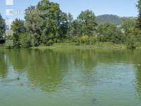Karpfenteich 4