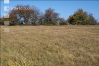Extensive meadow