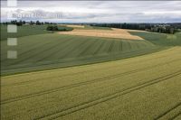 Agrarland Anfang Juli 6