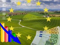 EU Agrarsubventionen 4