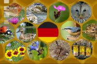 Germany and biodiversity 