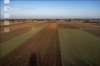 Arable land February 9
