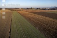 Arable land February 4