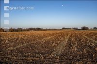 Arable land February 3