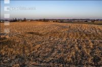 Arable land February 1