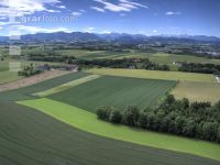 Cultural land in May 4