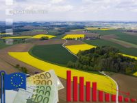 EU area payments drop 1