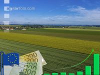 EU area payments raise 3