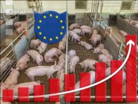 EU Gelder Tierwohlstall