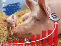 EU und Biolandbau 2