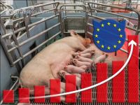 EU and animal welfare 2