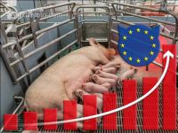 EU und Tierwohlstall 2