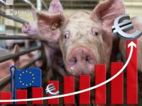 EU and animal welfare 1