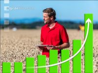Wheat price raises