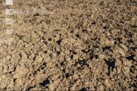 Dry March 66