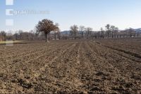 Dry March 50
