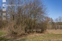 Trockenheit März Wald 1