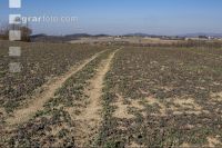 Dry March 36