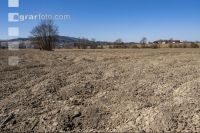 Dry March 22