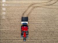 Fertilization before sugar beet 19