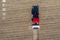 Fertilization before sugar beet 14