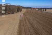 Seed bed preparation beets 36