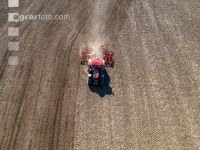 Seed bed preparation beets 33
