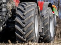 Fertilization before sugar beet 4